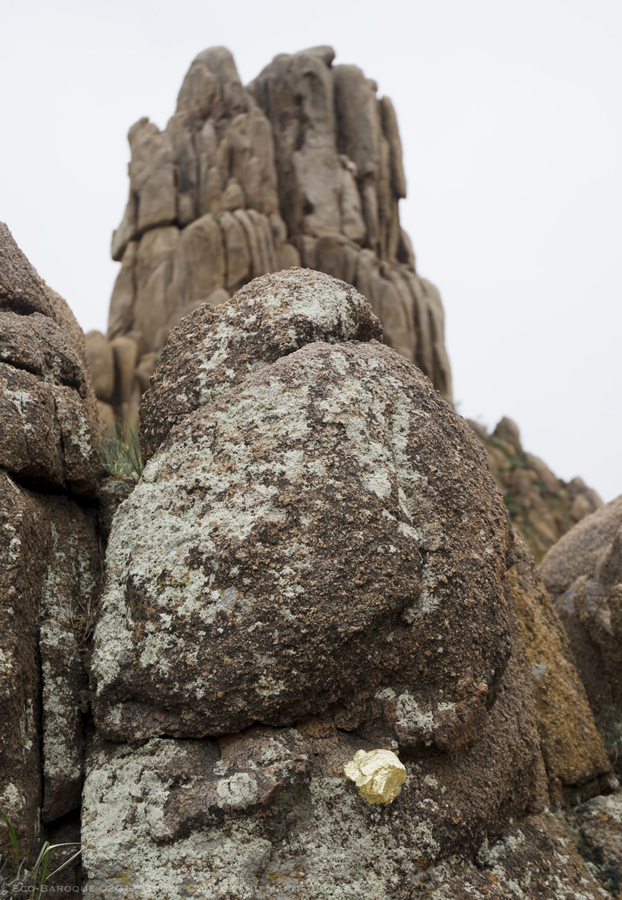 Eco Baroque in Mongolia