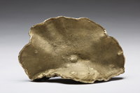 Eco-Baroque - Tree Conch